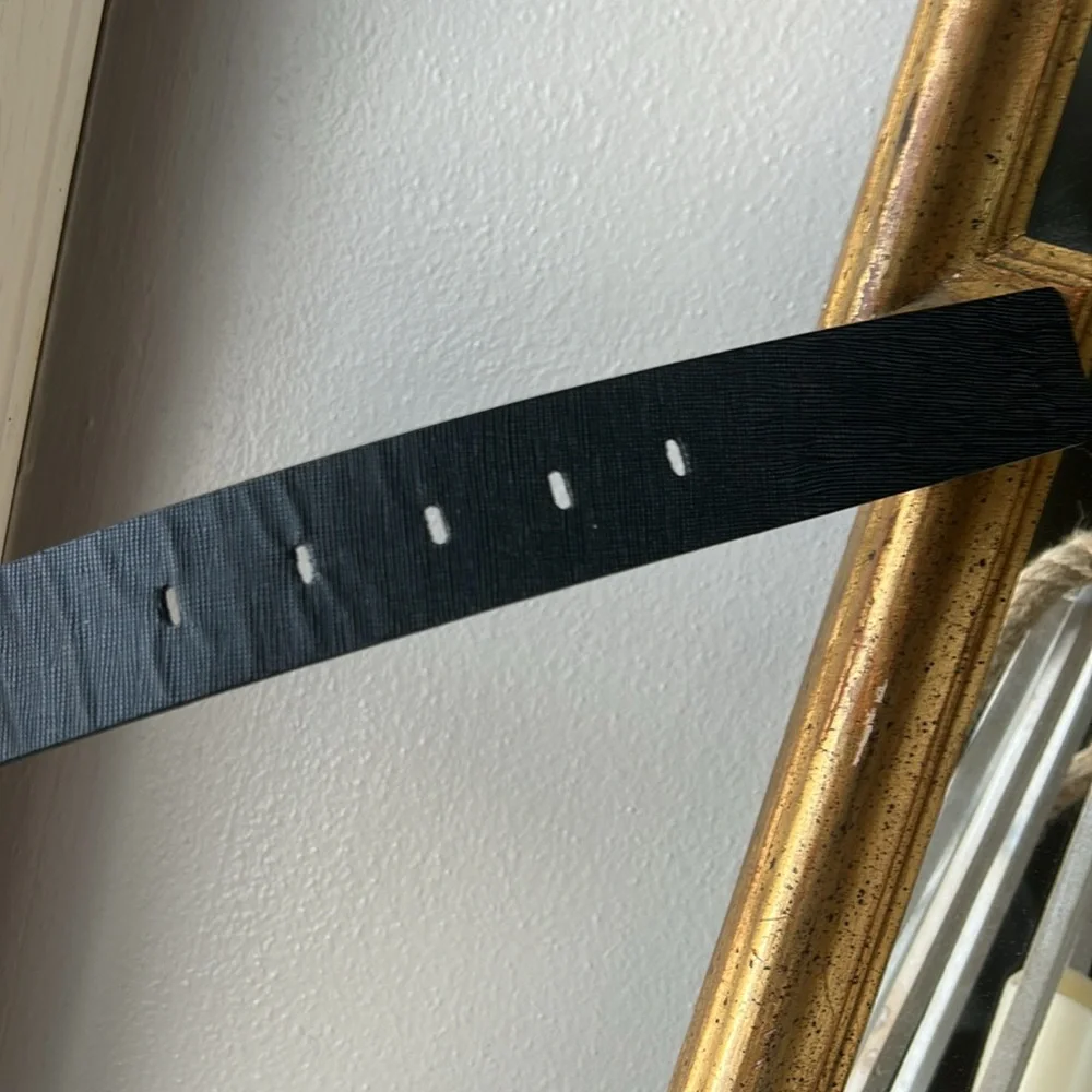 LIZZIE FORTUNATO Black Belt with CLEAR Resin Buckle